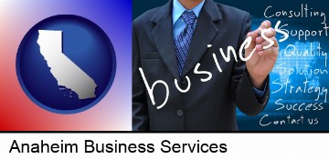 typical business services and concepts in Anaheim, CA
