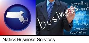 typical business services and concepts in Natick, MA