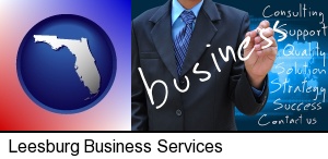 typical business services and concepts in Leesburg, FL